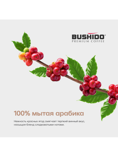 Кофе Bushido Red Katana растворимый сублимированный, 100г