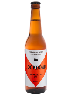 Пиво Dreamteam Brew Lockdown Эль светлое, 0.45л