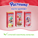 Коктейль молочный Растишка малиновое мороженое 2%, 210г