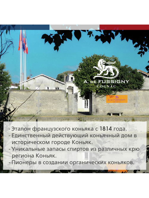 Коньяк A. De Fussigny Cellar Blend VSOP в подарочной упаковке, 0.5л