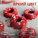 Глазурь Dr.Bakers со вкусом лесных ягод, 90г