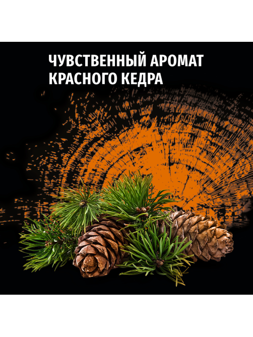 Антиперспирант-ролик Фа Men Красный кедр Соблазняющий аромат, 50мл