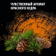 Антиперспирант-ролик Фа Men Красный кедр Соблазняющий аромат, 50мл