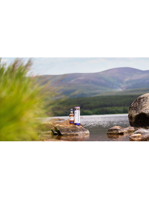 Виски шотландский Tomintoul Speyside Glenlivet 16 лет в подарочной упаковке, 0.7л