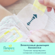 Подгузники для новорожденных Pampers Premium Care mini 4-8кг, 66шт