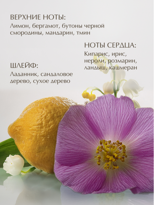 Парфюмированный мусс для душа Make Sense Sense of Freshness, 200мл