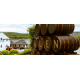 Виски Glen Moray Elgin Classic Sherry Cask Finish в подарочной упаковке, 0.7л