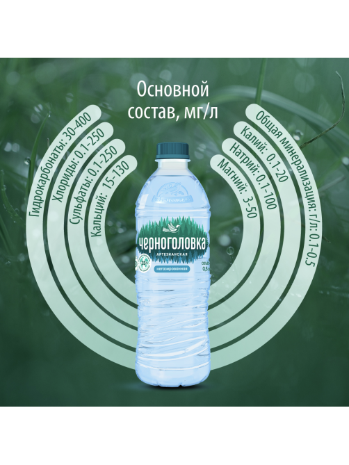 Вода Черноголовка артезианская питьевая негазированная, 500мл x 12 шт