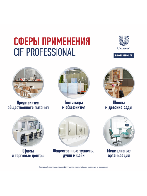 Средство чистящее Сиф Professional для стекол и нержавеющей стали, 500мл