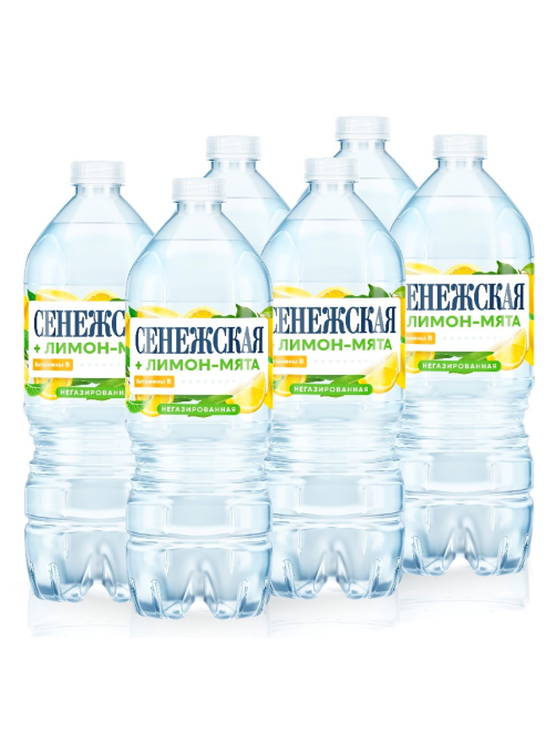 Вода Сенежская с соком лимон-мята негазированная, 1л