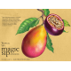 Основа для коктейлей Magic Sip тропический микс безалкогольная, 0.7л