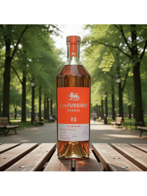 Коньяк A. De Fussigny Cellar Blend VS в подарочной упаковке, 0.5л