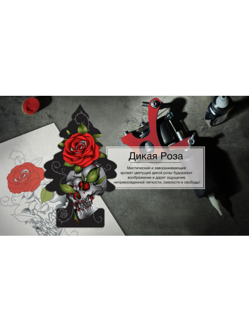 Ароматизатор для автомобиля Little Trees Дикая Роза