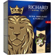 Чай черный Richard с бергамотом и цитрусом (2г x 100шт), 200г