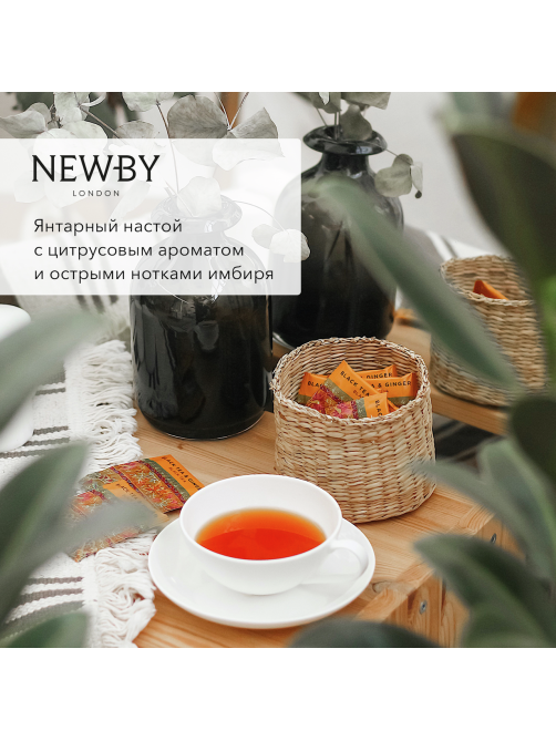 Чай черный Newby Имбирь пакетированный (2г x 25шт), 50г