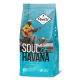 Кофе Poetti Soul of Havana натуральный жареный в зернах, 800г