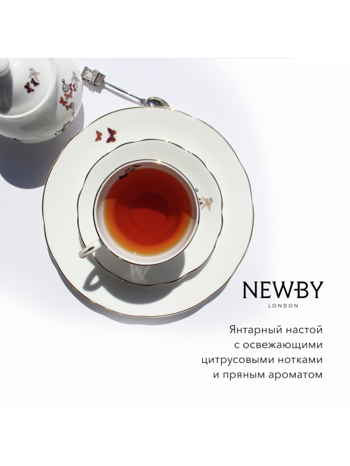 Чай Newby Ceylon черный (2г x 50шт), 100г