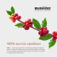 Кофе Bushido Kodo растворимый, 95г x 9 шт