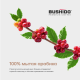Кофе Bushido Original растворимый, 100г