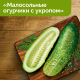 Чипсы Lay's Малосольные огурчики с укропом, 140г