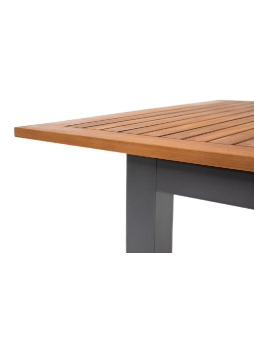 Стол Zalger Garden Space раздвижной 150-200, 200 x 90 x 74см