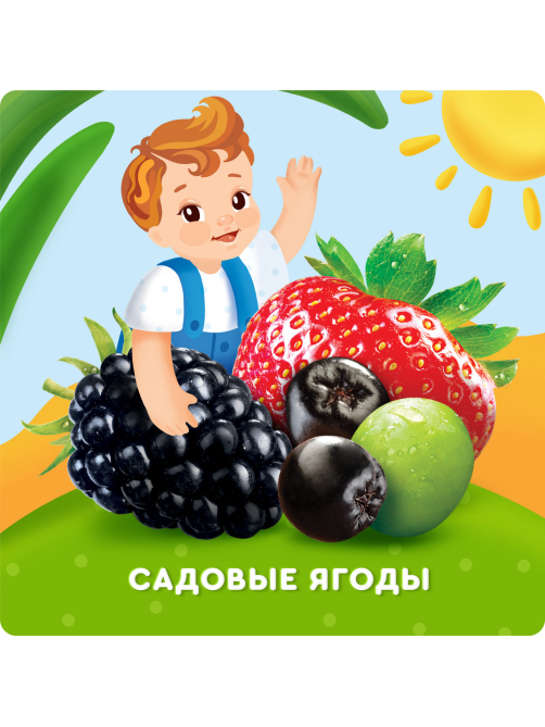 Напиток сокосодержащий детский Агуша Вода и Сок Садовые ягоды с 12 месяцев, 300мл