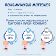 Смесь молочная детская Kabrita 3 Gold на козьем молоке с 12 месяцев, 800г