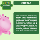 Каша сухая детская Gipopo Пшеничная молочная Тыква с 5 месяцев, 200г