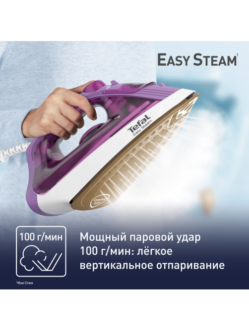Утюг Tefal Steam Essential 2 FV1955E0