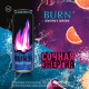 Напиток энергетический Burn Сочная энергия, 449мл