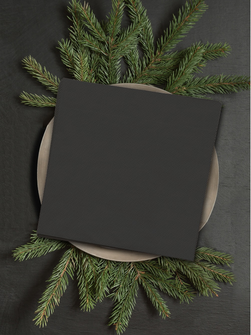 Салфетки бумажные Gratias Push Soft 2 слоя черные 33 x 33см, 50шт