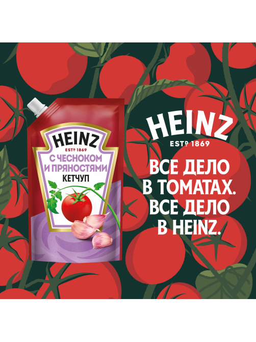 Кетчуп Heinz c чесноком и пряностями, 320г