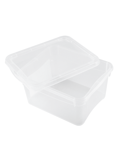 Tarrington House Ящик с крышкой 19 x15.7 x 9см, 2л