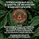 Кофе в капсулах Julius Meinl Lungo Classico Bio для кофемашин Nespresso 10шт, 56г