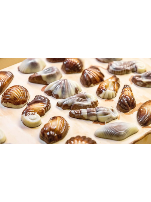 Набор шоколадных конфет Guylian Seashells Морские ракушки с начинкой пралине, 250г