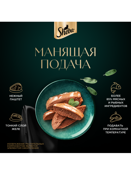 Корм влажный Sheba для взрослых кошек паштет-лосось, 75г