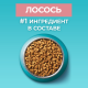 Корм сухой Purina One для стерилизованных кошек и кастрированных котов с лососем, 9.75кг