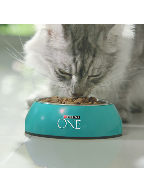 Корм сухой Purina One для взрослых кошек при чувствительном пищеварении с индейкой и рисом, 750г x 8 шт