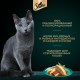 Корм влажный Sheba для взрослых кошек паштет-лосось, 75г