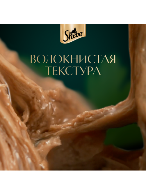 Корм влажный Sheba Craft Collection Сочные слайсы Курица в соусе для взрослых кошек, 75г