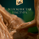 Корм влажный Sheba Craft Collection Сочные слайсы Курица в соусе для взрослых кошек, 75г