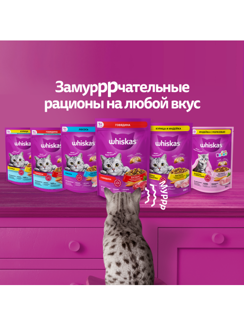 Корм сухой Whiskas Вкусные подушечки для стерилизованных кошек с курицей, 350г