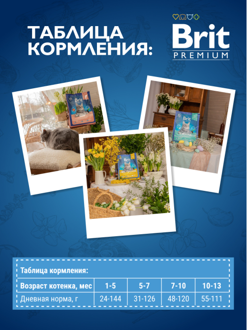 Корм сухой Brit для котят курица-лосось, 800г