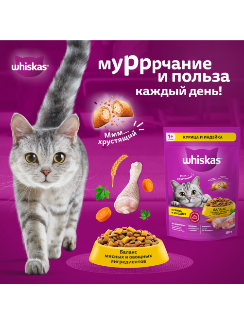 Корм сухой Whiskas Аппетитное ассорти Вкусные подушечки для взрослых кошек паштет с курицей и индейкой, 13.8кг