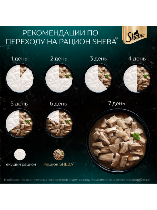 Корм влажный Sheba Craft Collection Сочные слайсы Курица в соусе, 75г x 28 шт