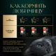 Корм влажный Sheba для кошек Ломтики в соусе с говядиной, 75г