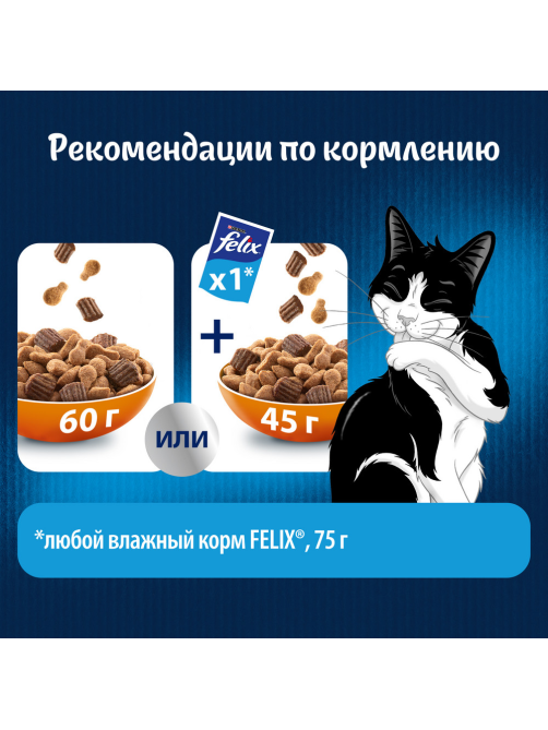 Корм сухой Felix Двойная вкуснятина для взрослых кошек с птицей, 600г