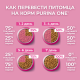 Корм сухой Purina One для котят с курицей и цельными злаками, 750г х 8 шт