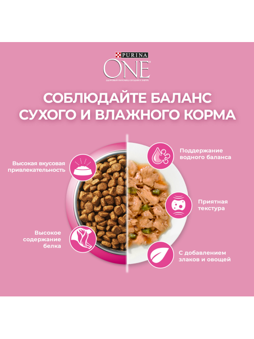 Корм сухой Purina One для котят с курицей и цельными злаками, 750г х 8 шт