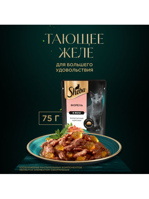 Корм влажный Sheba для взрослых кошек ломтики в желе с форелью, 75г